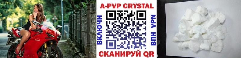 A PVP СК КРИС Калининск