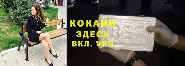 шишки Верхний Тагил