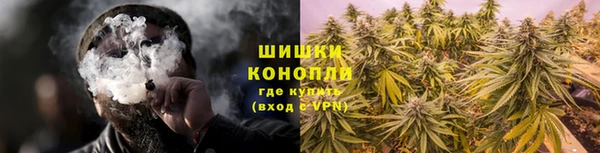 шишки Верхний Тагил
