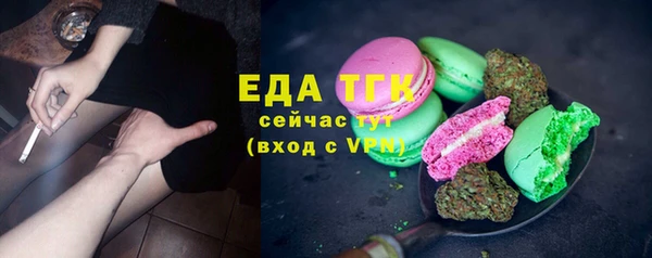 шишки Верхний Тагил