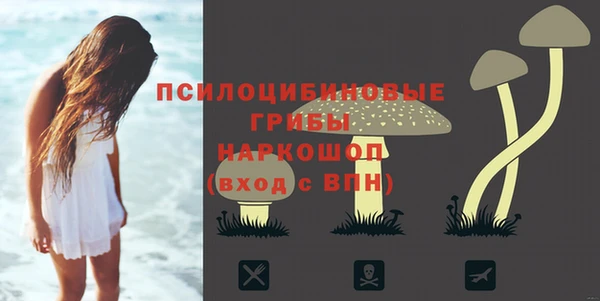ALPHA PVP Верея