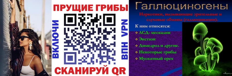цена наркотик  Калининск  Псилоцибиновые грибы Psilocybine cubensis 